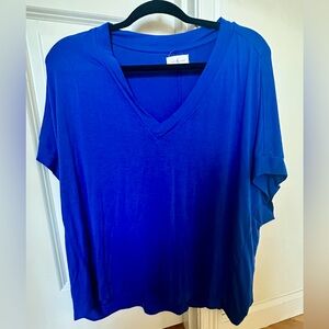 Women's Blue V-Neck Top